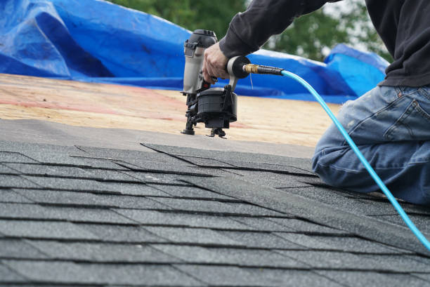 Best Gutter Installation and Repair  in Muenster, TX